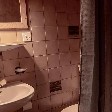 Relais Des Mélèzes 3* Vissoie