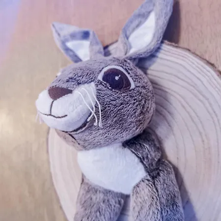 Relais Des Melezes 3* Vissoie